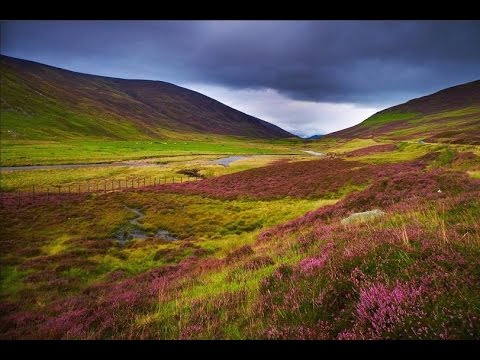 DARE Along the Heather, from the new Album SACRED GROUND