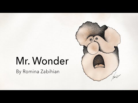 Mr. Wonder