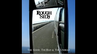 Rough Silk   My next 40 years