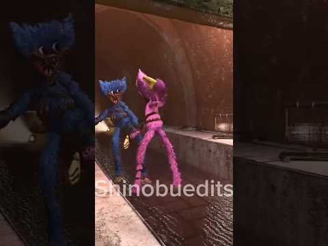 KISSY MISSY SAVE FROM HUGGY WUGGY 😢 #sad #catnap #trending