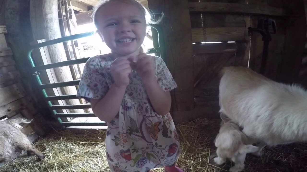 Learning Tree Farm Promo Video