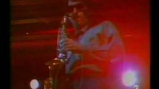 Esclarecidos - "Los elefantes"