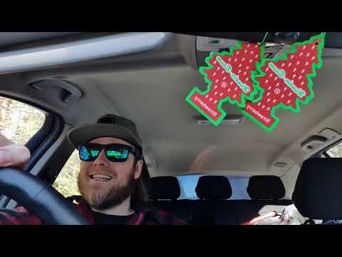 KVINNA BLIR BJÖRN-JAGAD I NORRLAND