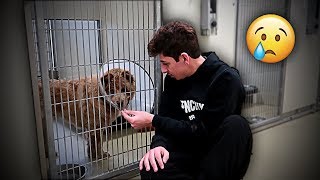 This had to be done... (emotional)