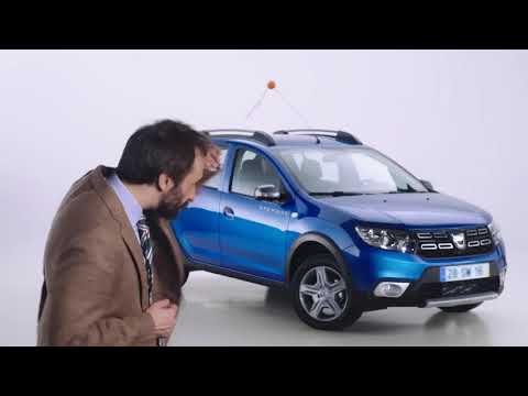 DACIA Unnecessory -  Car Detection Antenna Topper