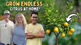 Growing Citrus in Zone 8a? Here's What You're Doing Wrong