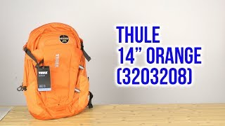 Thule EnRoute Triumph 2 21L / mikado (3203385) - відео 2