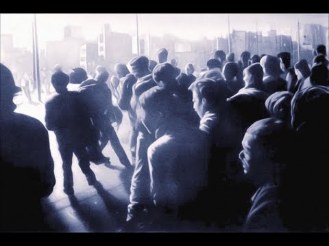 Yolanda Moon - Fill Transfer (A.I. OFFICIAL MV 4k)