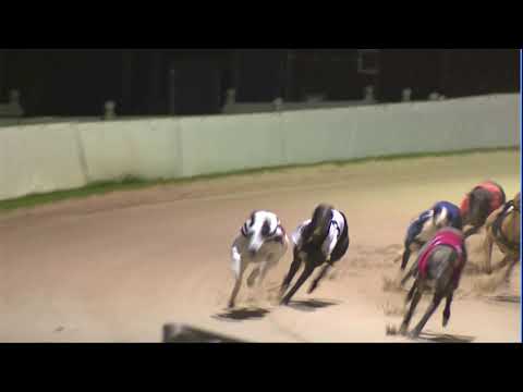 2020 CORAL ESSEX VASE - 1ST SEMI - T1 SWIFT TARQUIN