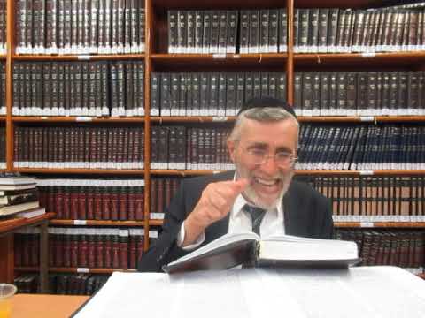 הרב יהושע ביבי - תשפ"ו - עמידה - שיעור מס' 237 - תירוץ השע''ר ח''א תשובה פ' לכוונת שירה חדשה