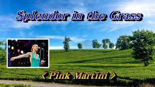 Splendor in the Grass(초원의 빛)💜Pink Martini(핑크 마르티니), 한글자막 (HD With Lyrics)🌴🌿🍒🌻🍓
