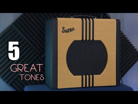 5 GREAT Supro Delta King 12 Tones!