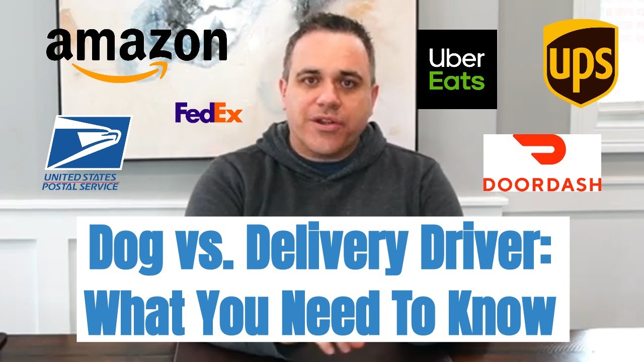 Dog Vs. Delivery Driver: What You Need To Know From A CT Dog Bite Attorney