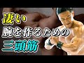 【上腕三頭筋】剛腕を作るための最強種目