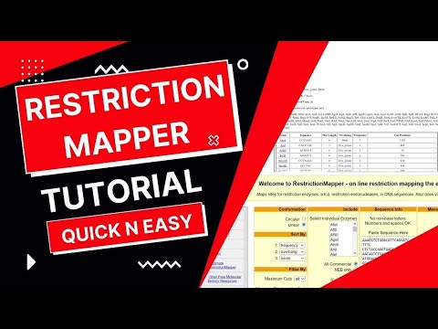Restrictionmapper Tool For Restriction Mapping