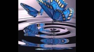 Shawn Desman - Butterflies (Original Song) including lyrics