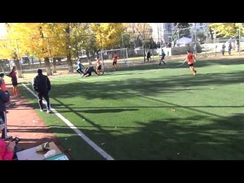 63. Intetics - Zfort Group (1-5)