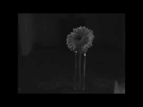 Mictlán | Trailer