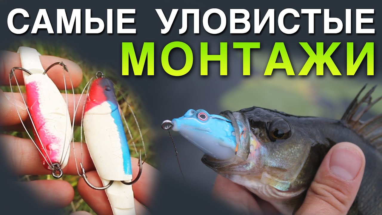 Видеообзор Лягушка Akara Frog