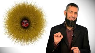 صورة رحلة اليقين ٢٤: تفكيك نواة كرة القش