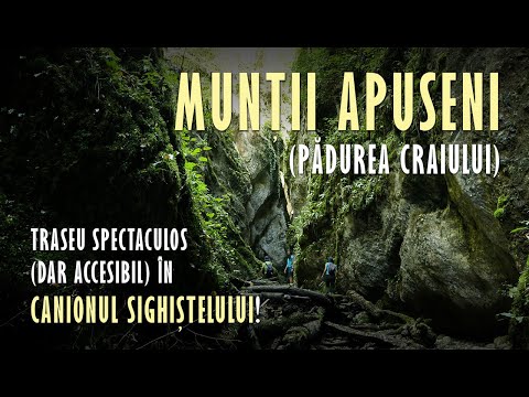 Munții Apuseni | Drumeție și Peșteri în Canionul Sighiștelului - Traseu Spectaculos aproape Neștiut