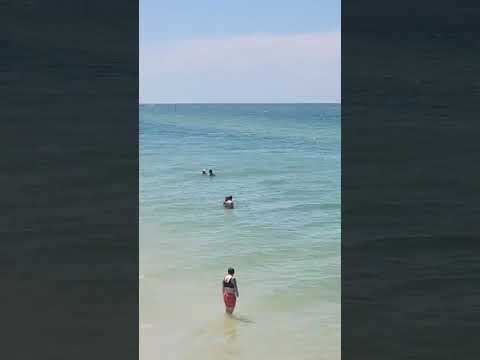 welcome to Florida Clearwater beach.