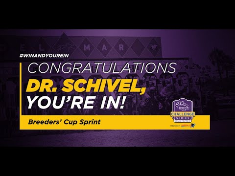 2021 Santa Anita Championship Stakes- Dr. Schivel