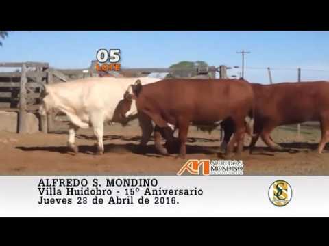 28-04-16 Ventas ( Parte 1 ) - Alfredo S. Mondino - Villa Huidobro.