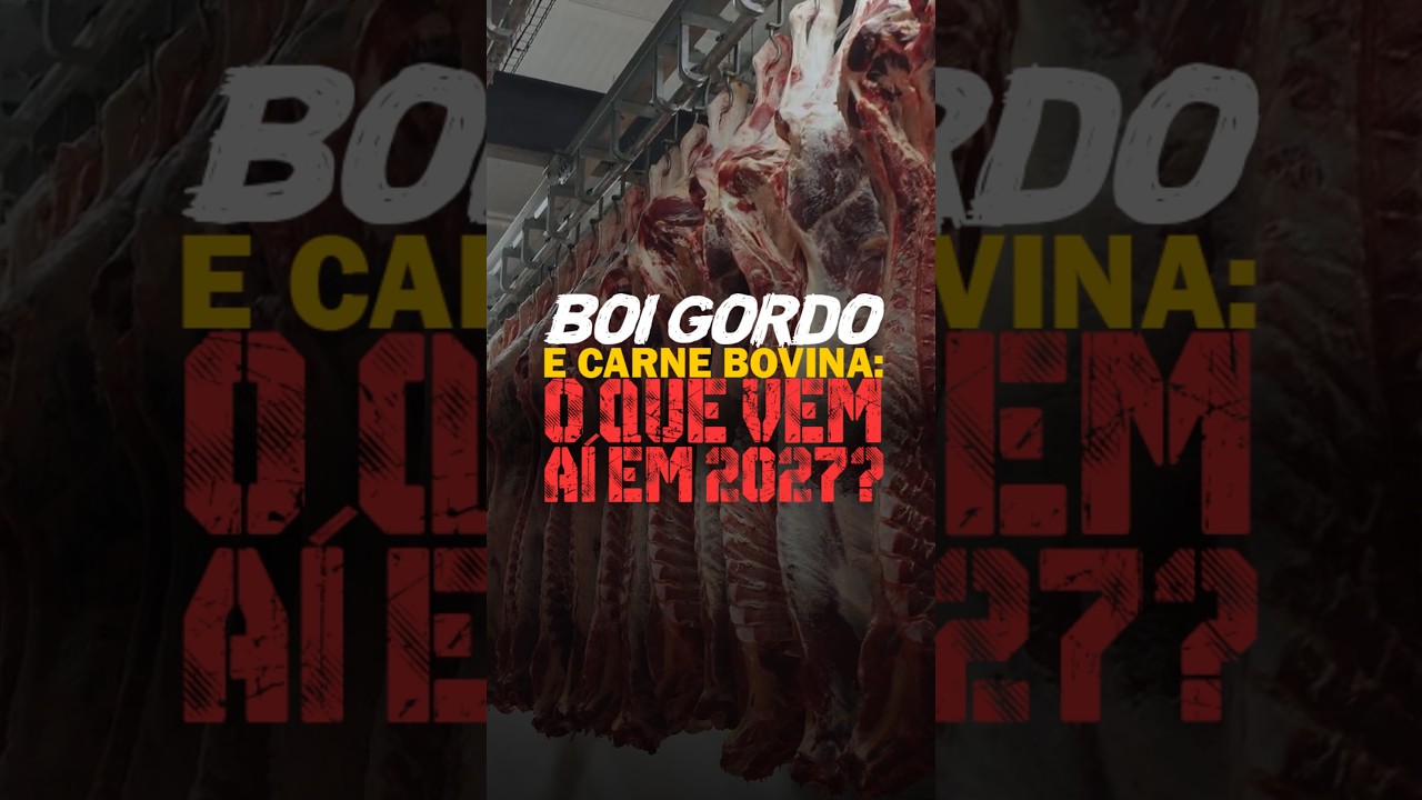BOI GORDO E CARNE BOVINA: O QUE VEM AÍ EM 2027?