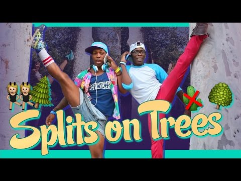 Todrick Hall - Splits on Trees (feat. Unterreo Edwards) [Official Music Video]