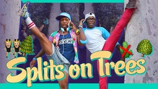 Todrick Hall - Splits on Trees (feat. Unterreo Edwards) [Official Music Video]