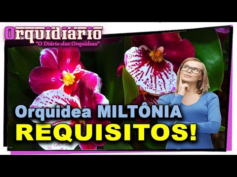 , title : '🌸Como Cuidar de Orquideas - Orquidea Miltonia e seus Requisitos de Cuidados'