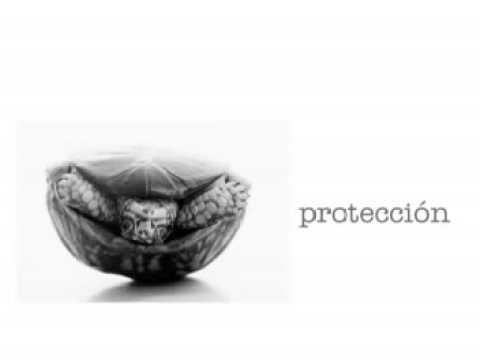 Monitor Portátil Para Detección y Control Ambulatorio de Apnea en el recién Nacido PATENTADO