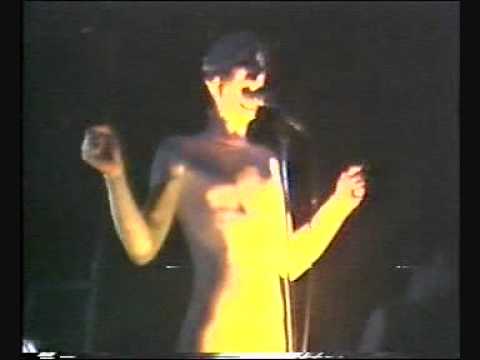 classix nouveaux..the robots dance...live video .rainbow theatre 11.4.1981.