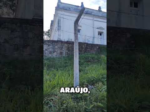 História de Pernambuco, hoje é sobre Amaraji, à ligação com cantor Cazuza.#brasil #amaraji