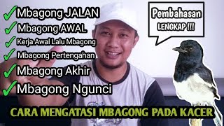 Download lagu Cara Ampuh Mengatasi Kacer Mbagong mp3 Download lagu Cara Ampuh Mengatasi Kacer Mbagong mp3