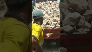 Download lagu mobil truk merah jomplang muatan batu gunung #shorts mp3