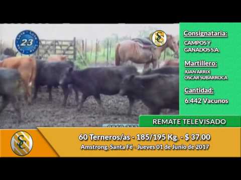 01-06-17 - Remate Televisado de Campos y Ganados - Santa Fé