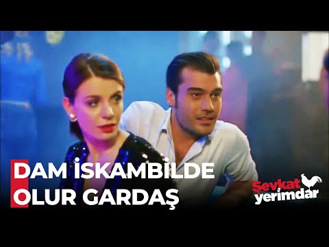 Şevkat'in Bora'ya ''Kadına Saygı'' Ayarı - Şevkat Yerimdar