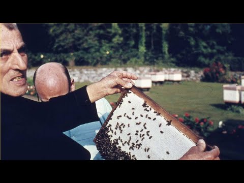 Einblicke in die Imkerei Bruder Adams