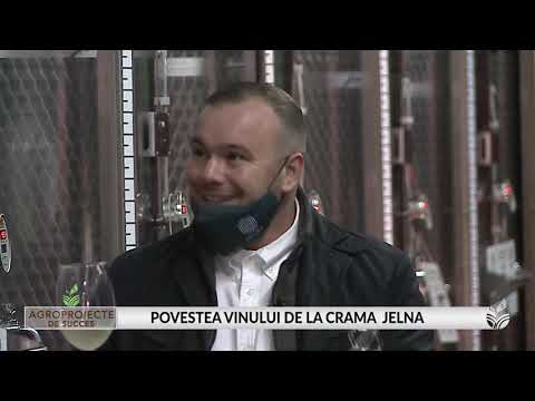 AGROPROIECTE DE SUCCES CRAMA JELNA PARTEA1