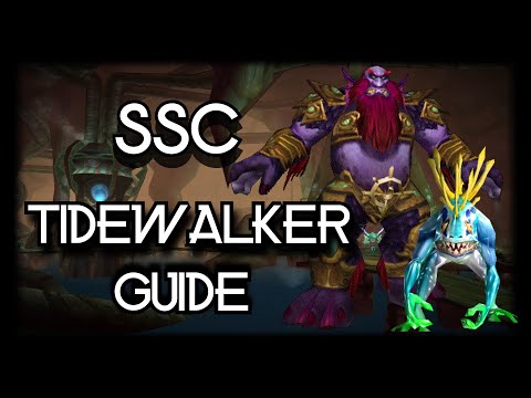 TBC Classic - SSC Guide - How to kill Morogrim Tidewalker and his Murlocs