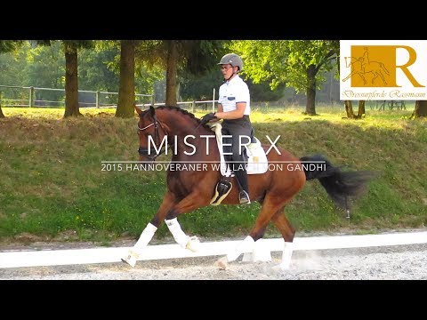 SOLD!!Dressurpferd - 2015 Hannoveraner Wallach von Gandhi, Stm. ca. 1,68, Dressurpferde A . Mister X