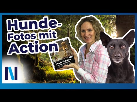 Hunde fotografieren mit Wau-Effekt: Tipps für optimale Bildgestaltung und Hunde in Bewegung