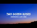 Shenandoah Luke Combs Two Dozen Roses Lyrics