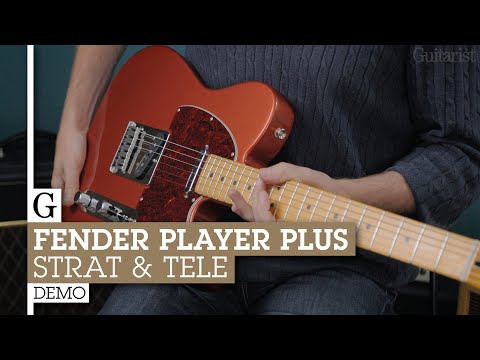 Обзор электрогитар Fender из серии Player Plus