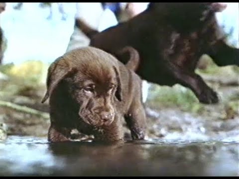 Werbeblock, Kabel 1 27.9.2000