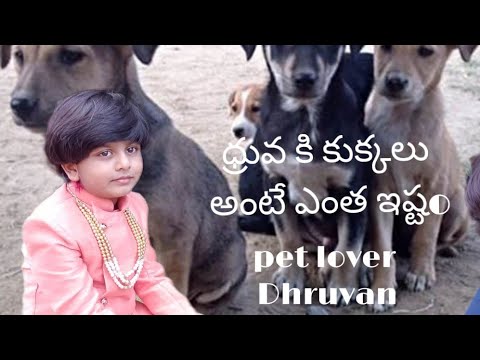pet lover dhruvan