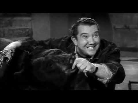 Shocking Secrets The Cast Of Honey West TV Series Tried To Hide