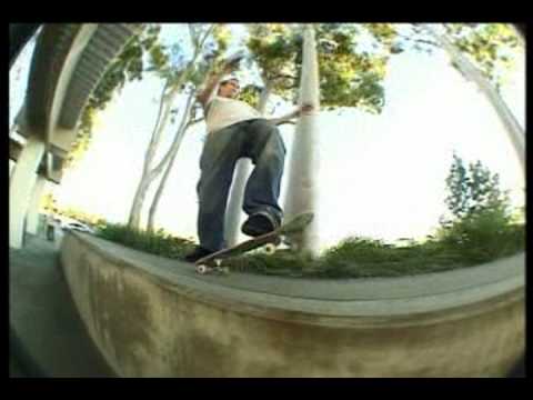 DVS Skate More - Kerry Getz